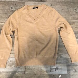 NWOT quince v neck sweater